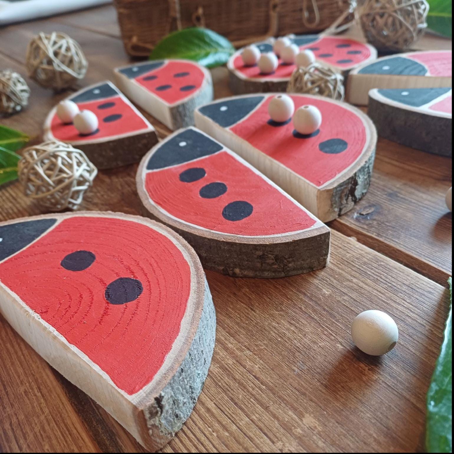 Ladybird Matching & Counting Log Slices