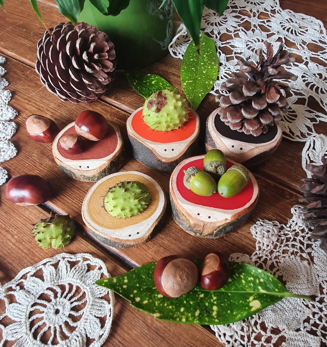 Colourful Loglet Friends