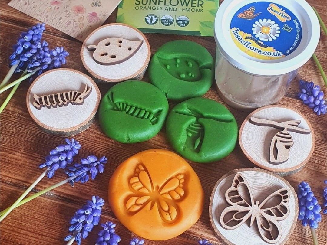 Butterfly Life Cycle Playdough Stamps - Set of 4