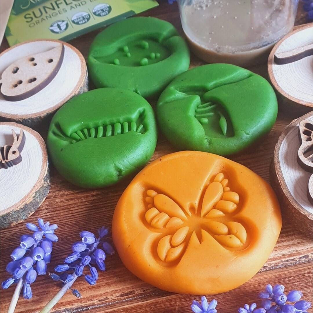 Butterfly Life Cycle Playdough Stamps - Set of 4
