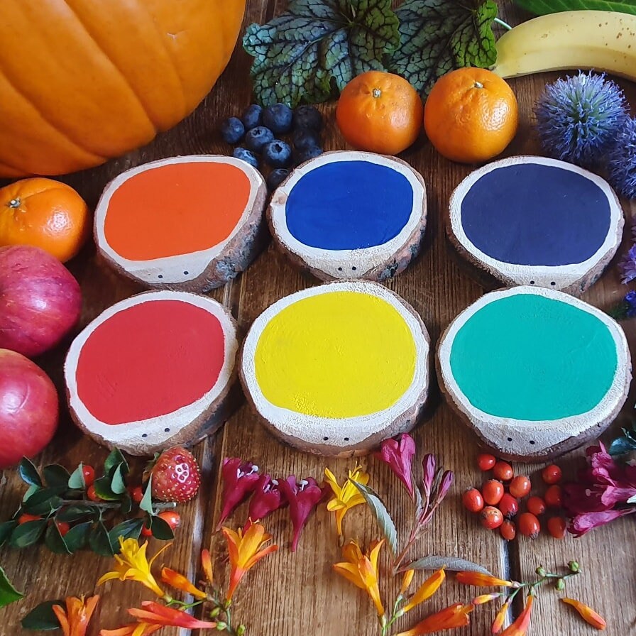 Colourful Loglet Friends