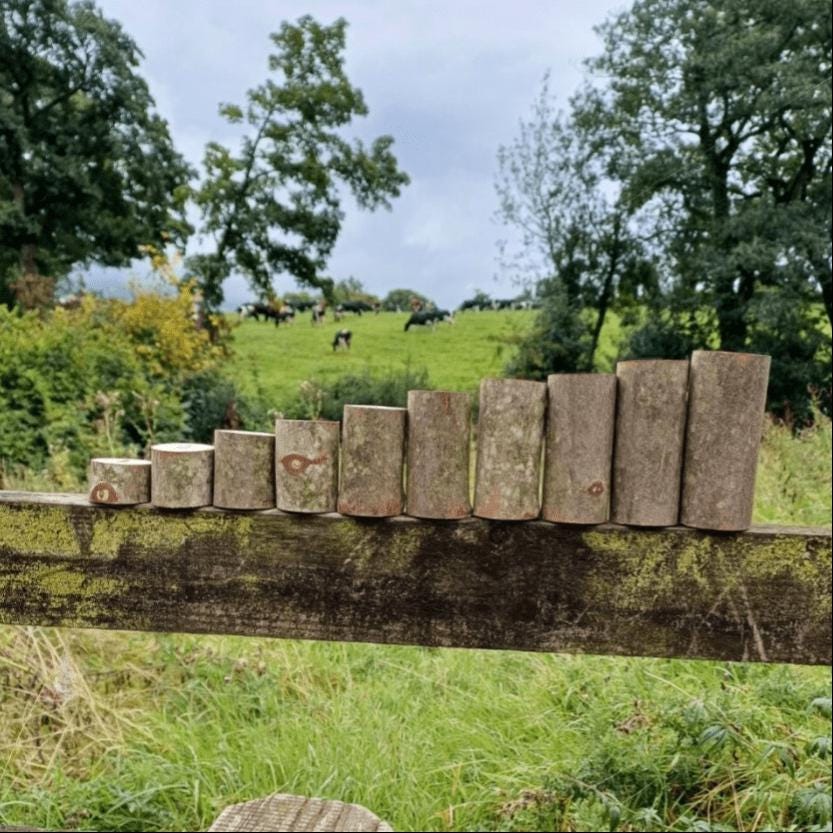 Ordering Number Logs