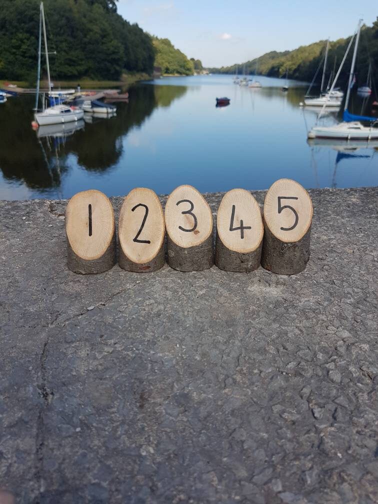 Angled Log Stumps - Set of 5