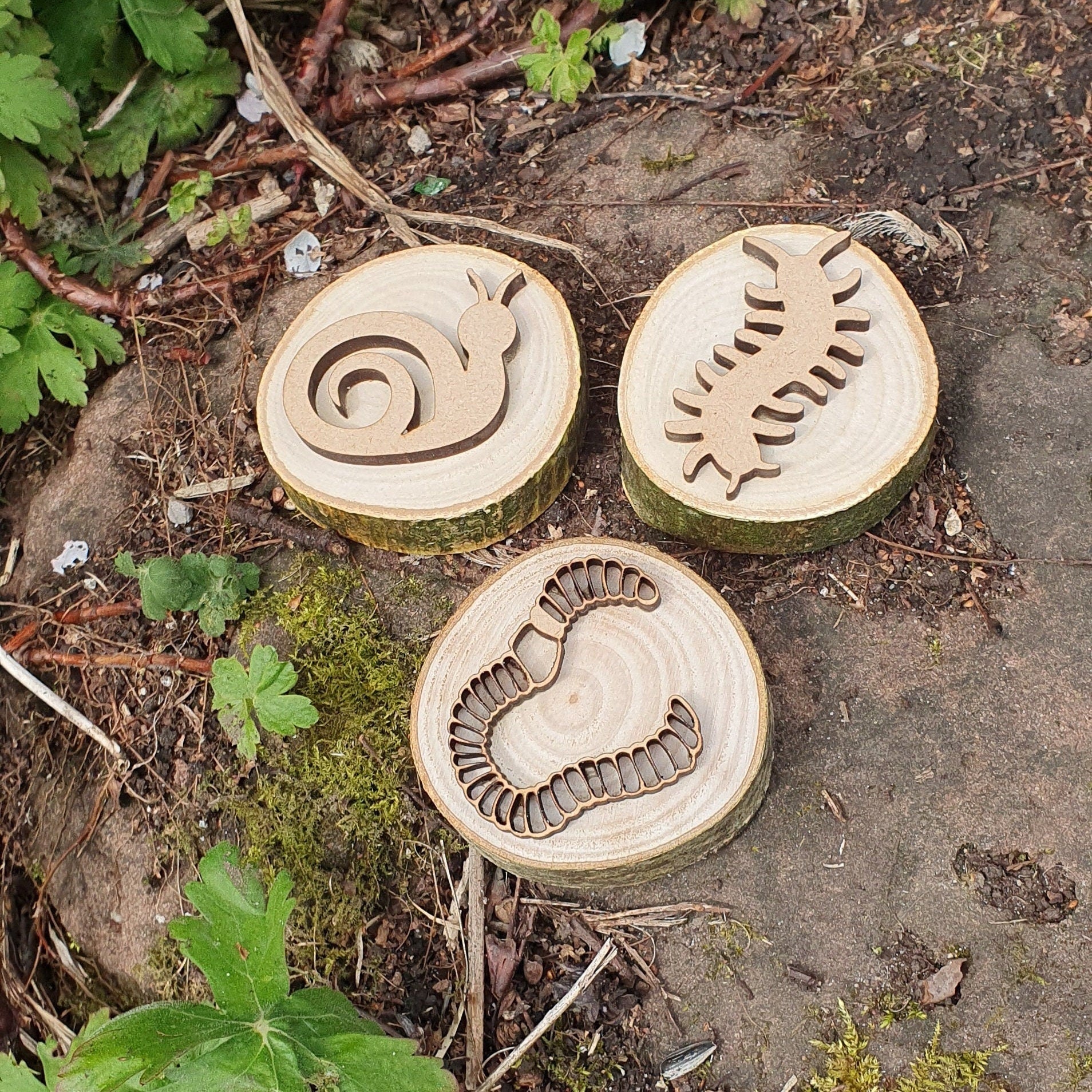 Insect & Minibeast Playdough Stamps - Set of 6