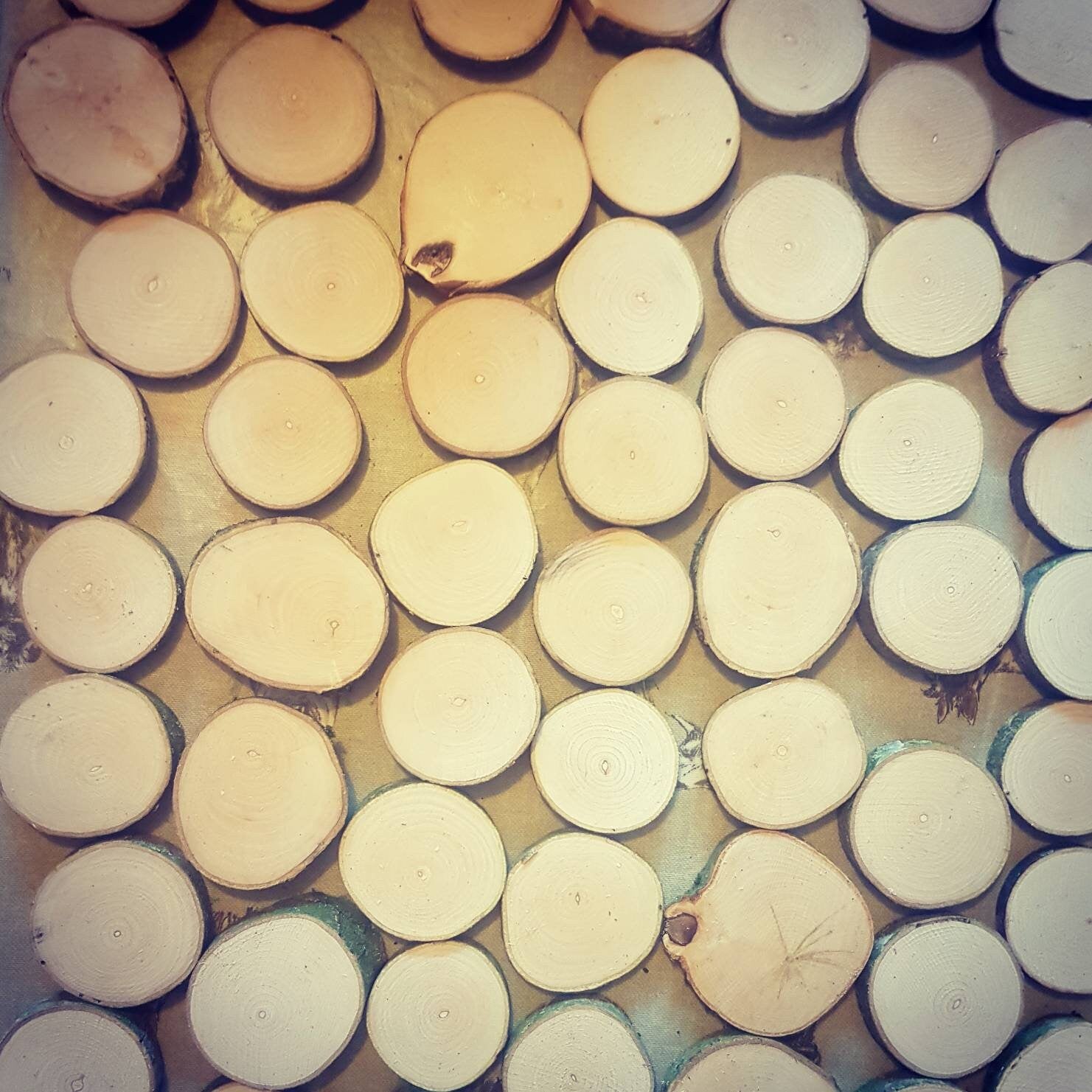 Small Natural Log Slices