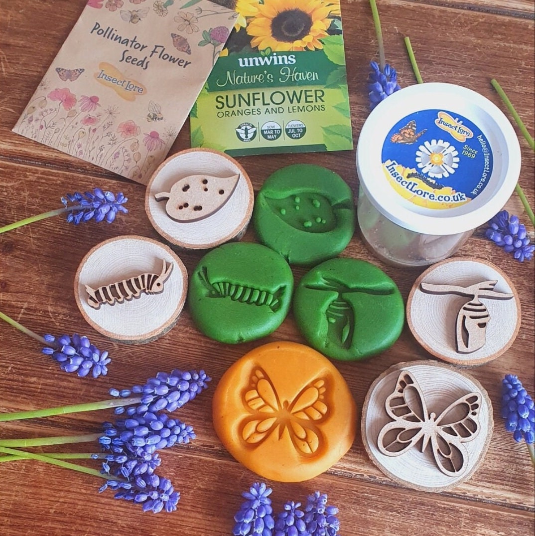 Butterfly Life Cycle Playdough Stamps - Set of 4