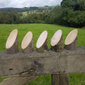 Angled Log Stumps - Set of 5