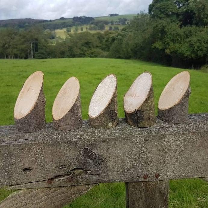 Angled Log Stumps - Set of 5