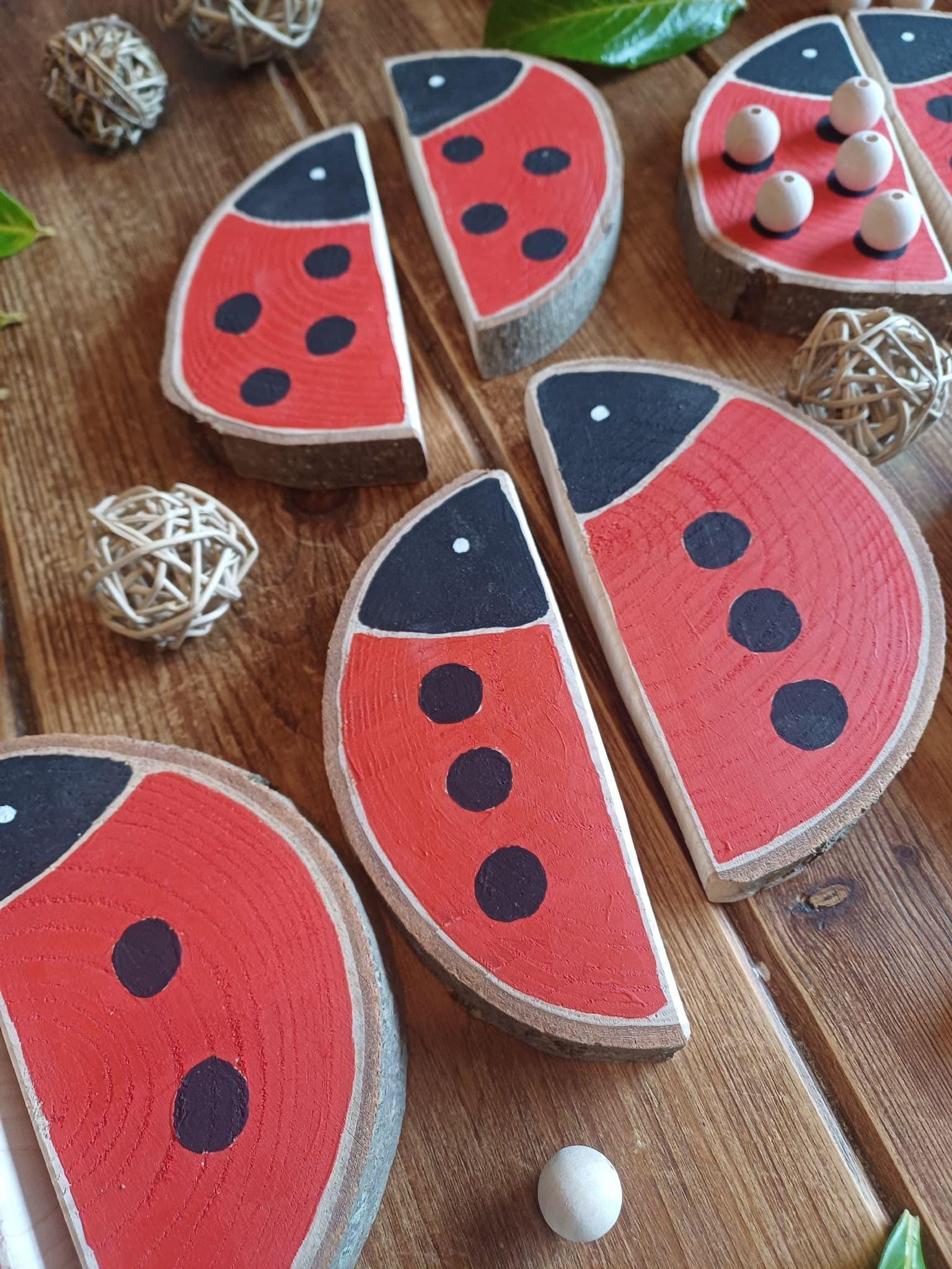 Ladybird Matching & Counting Log Slices