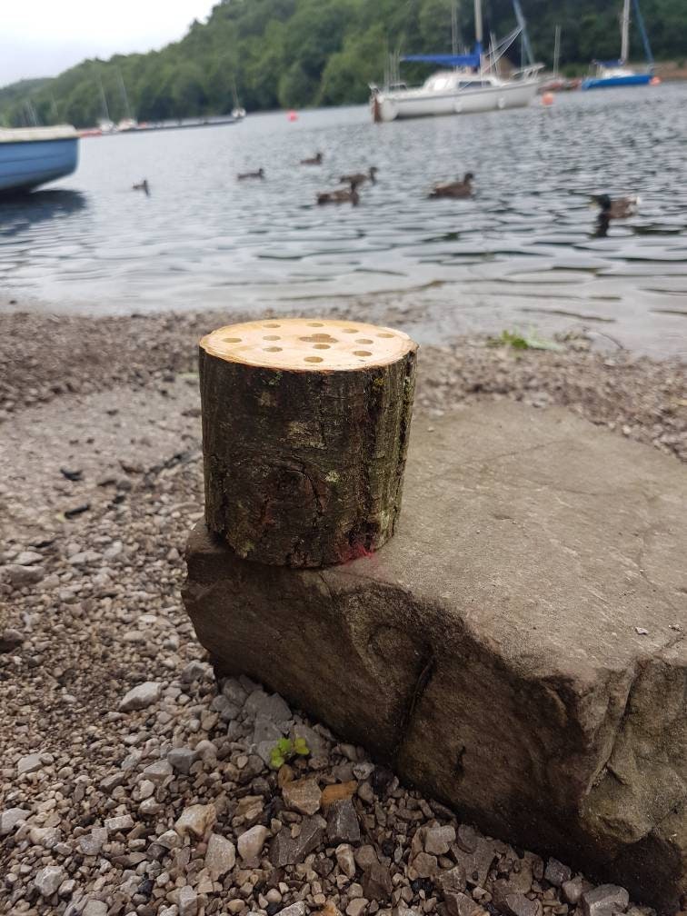 Log Slice Pencil Pot