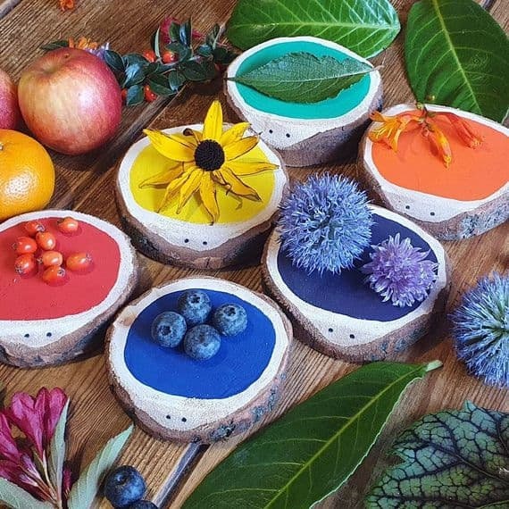 Colourful Loglet Friends