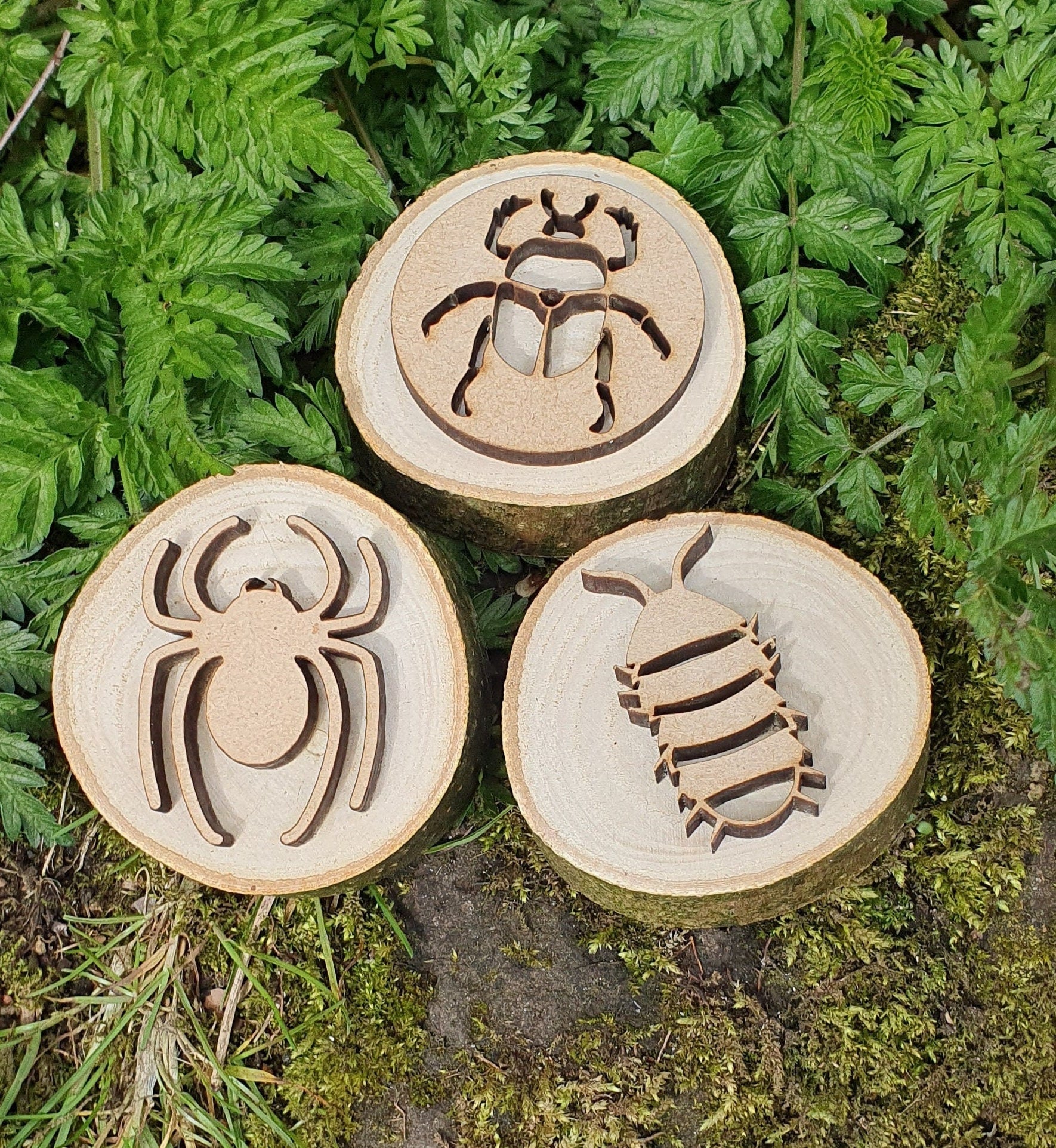 Insect & Minibeast Playdough Stamps - Set of 6