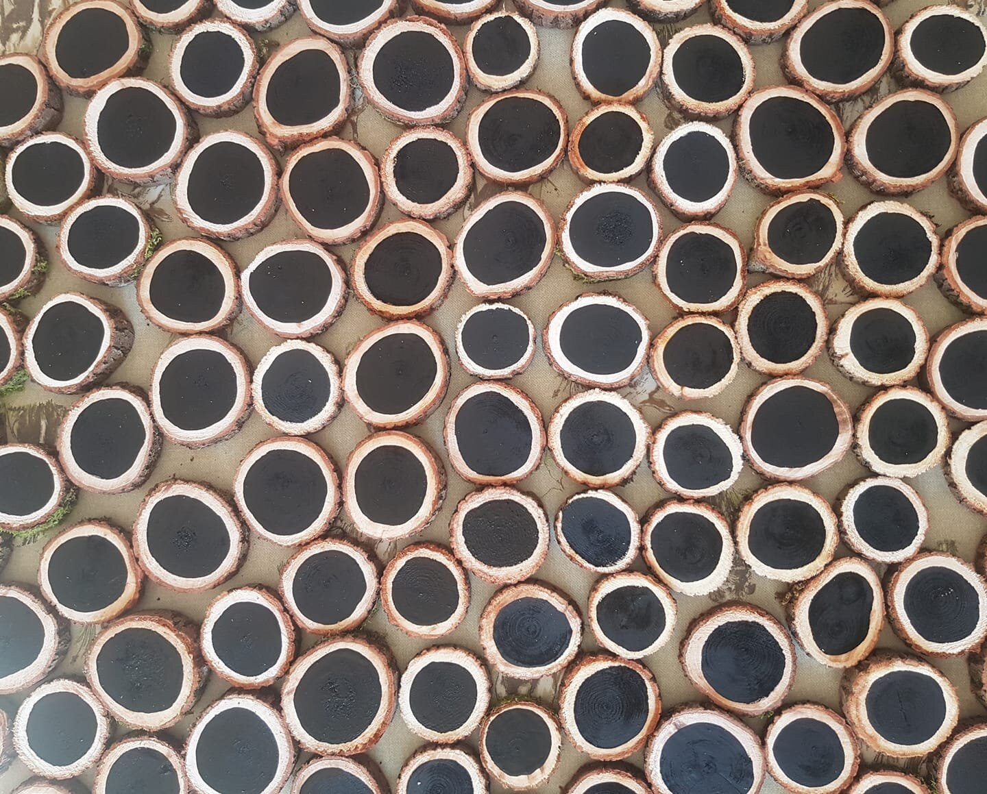 Chalkboard Painted Log Slices