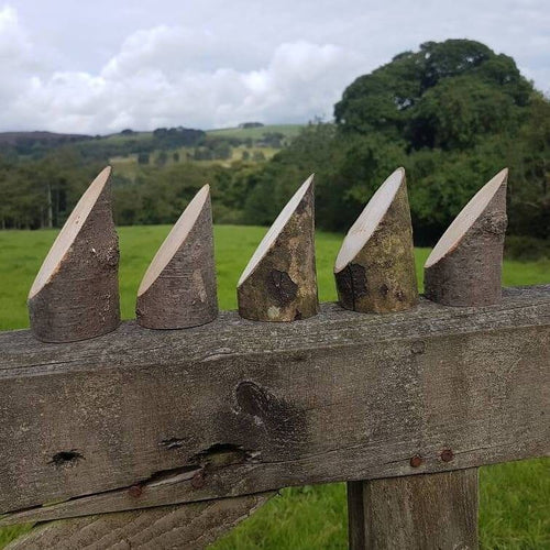 Angled Log Stumps - Set of 5