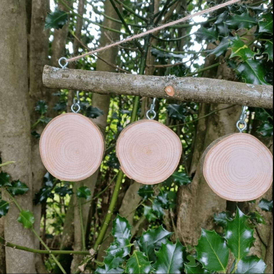 Blank Log Slice Hanging Set — Create Your Own Visual Timetable or Number Line