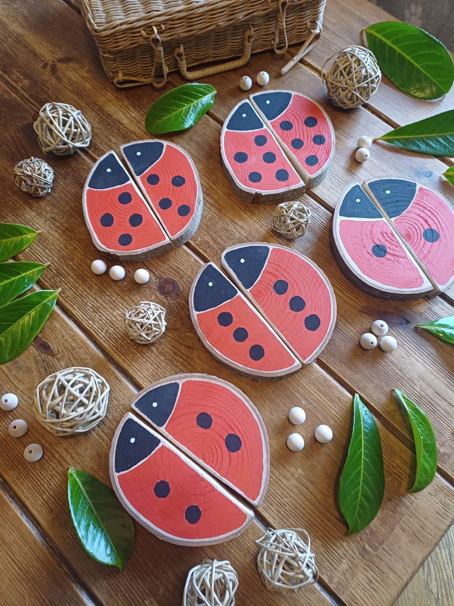 Ladybird Matching & Counting Log Slices