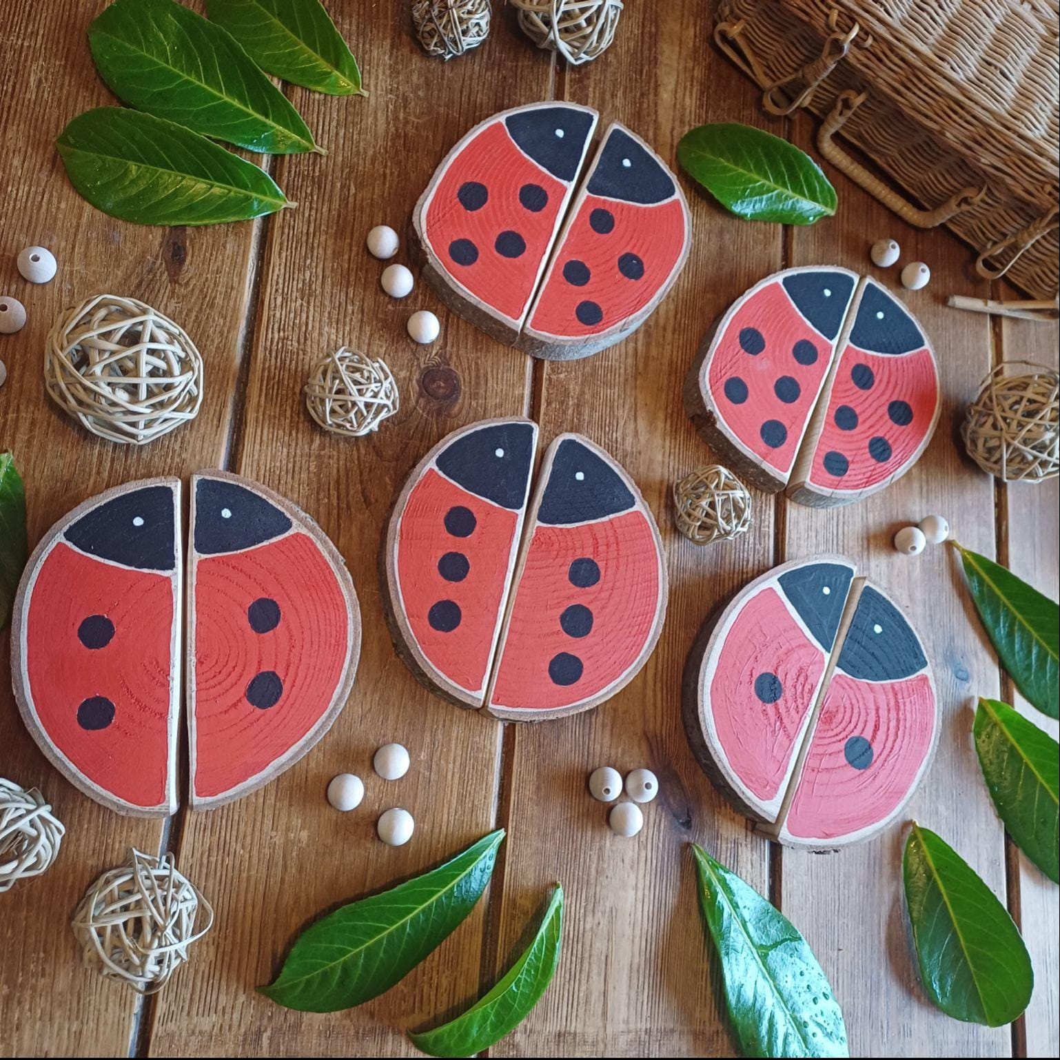 Ladybird Matching & Counting Log Slices