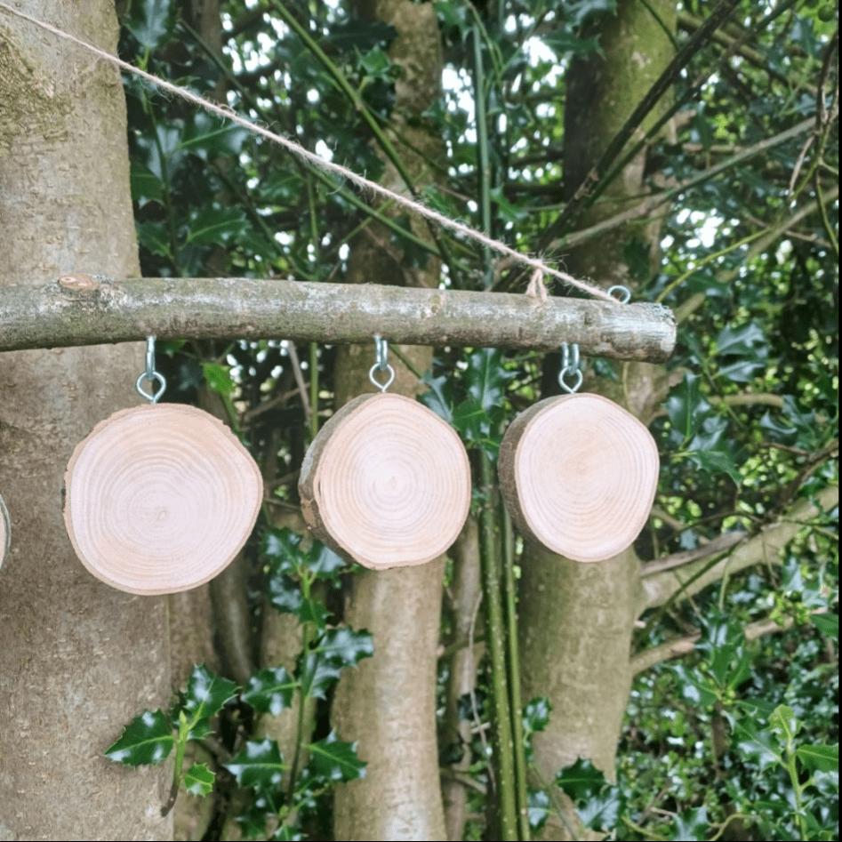 Blank Log Slice Hanging Set — Create Your Own Visual Timetable or Number Line