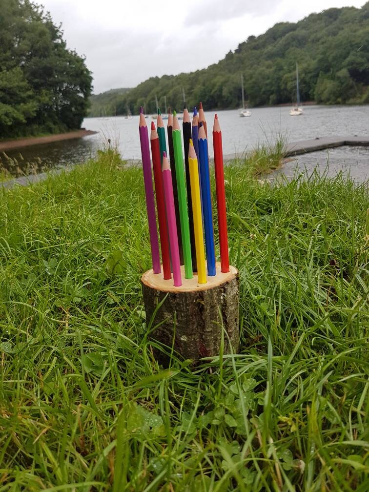 Log Slice Pencil Pot