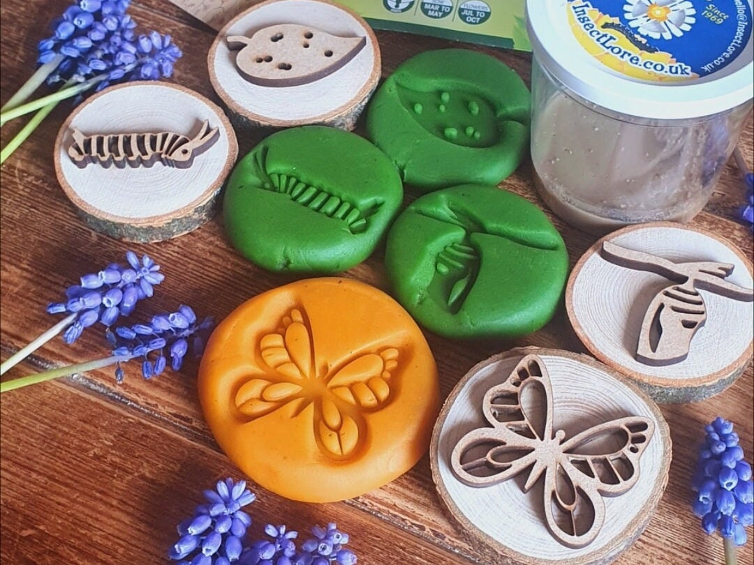 Butterfly Life Cycle Playdough Stamps - Set of 4