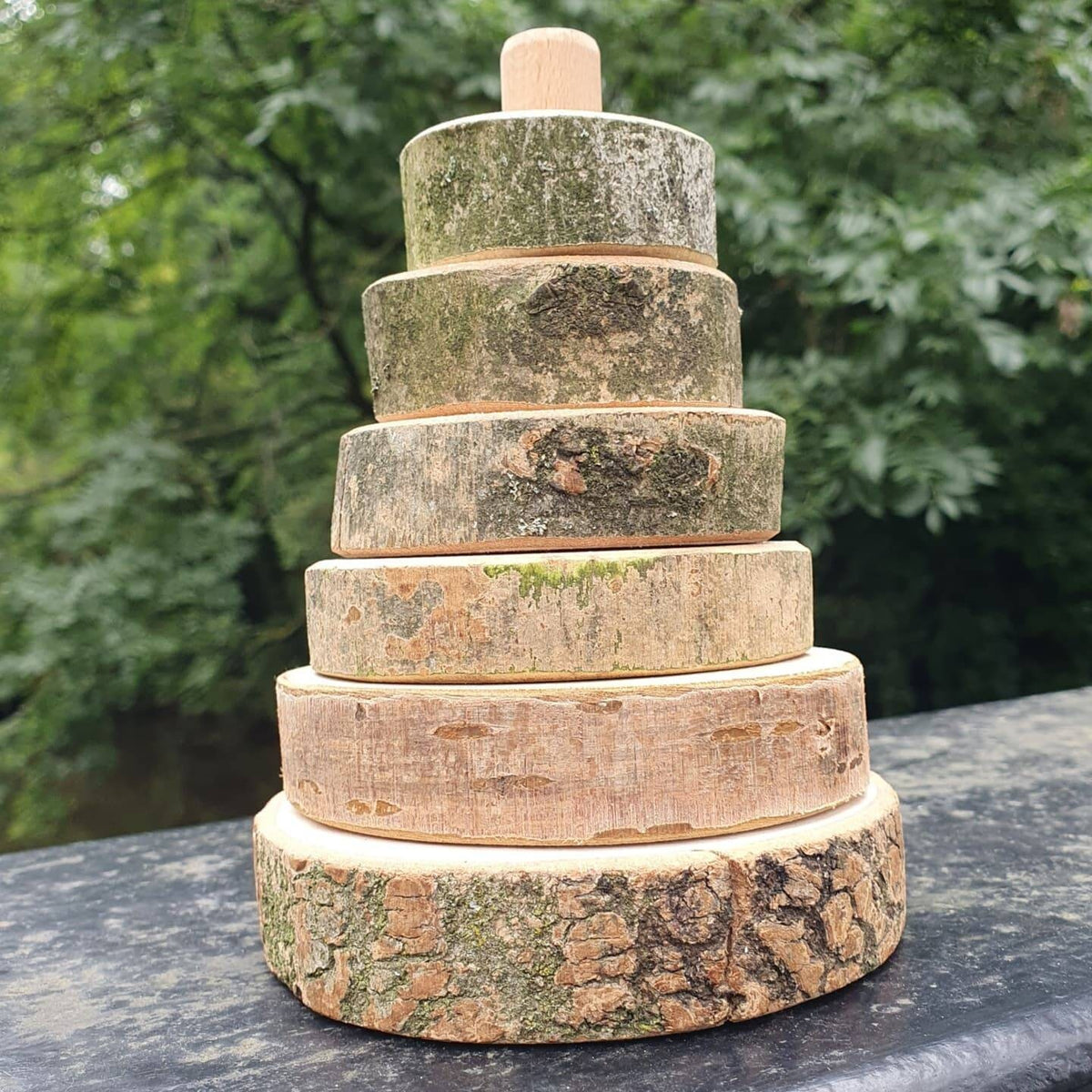 Natural Log Slice Stacker Toy