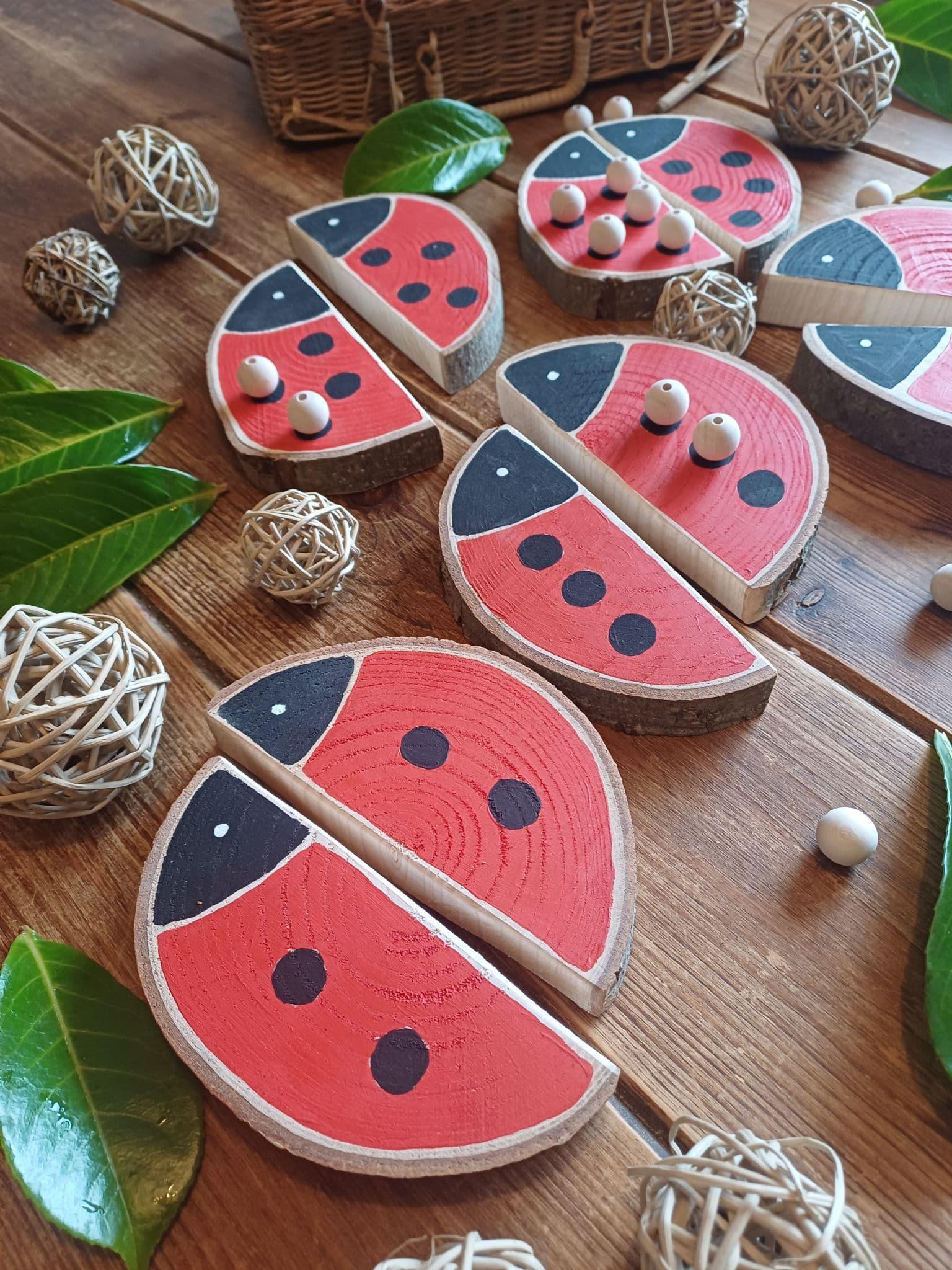Ladybird Matching & Counting Log Slices