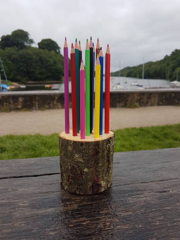 Log Slice Pencil Pot