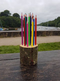 Log Slice Pencil Pot