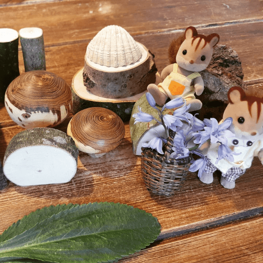 Little Box of Natural Loose Parts