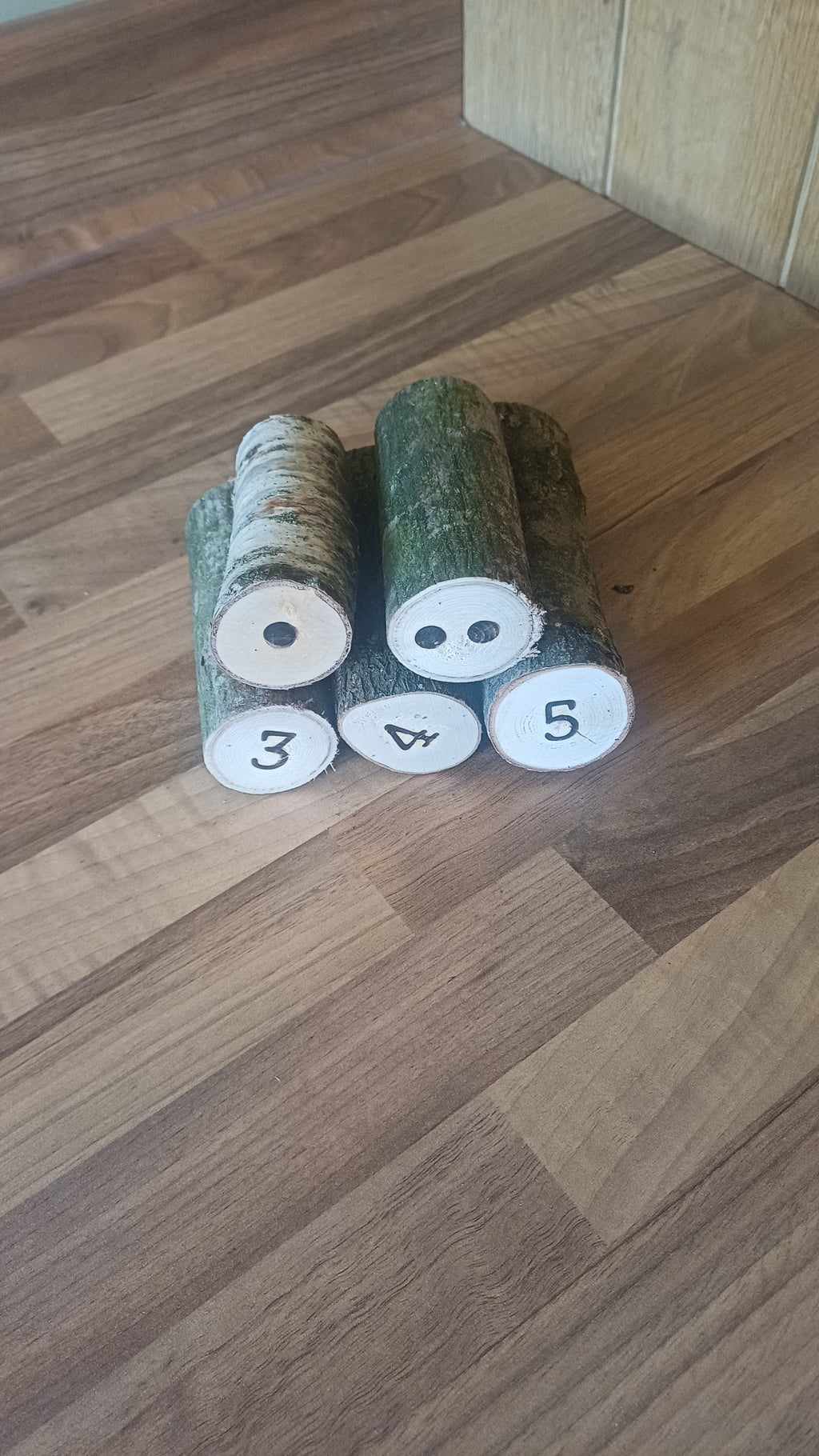 1–5 Ordering & Subitising Logs