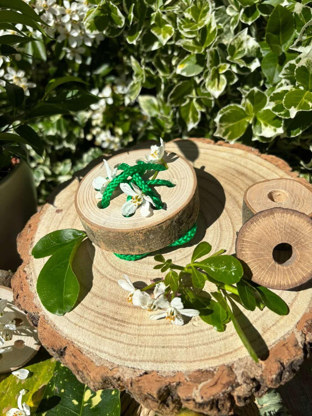 Natural Log Slice Threading Set 1