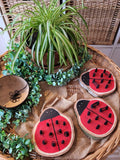 Ladybird Peg Boards - Set of 3