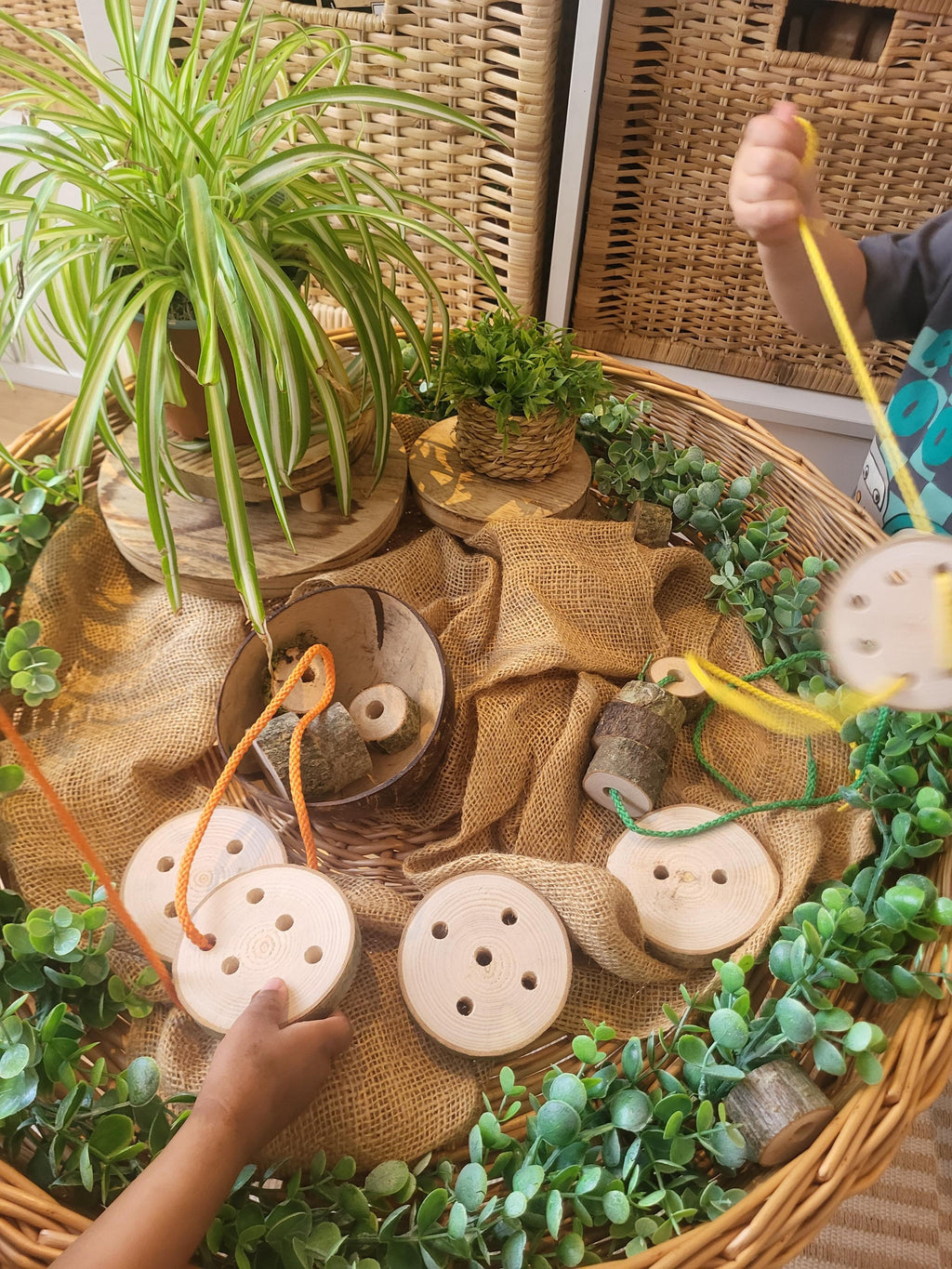 Natural Log Slice Threading Set 2