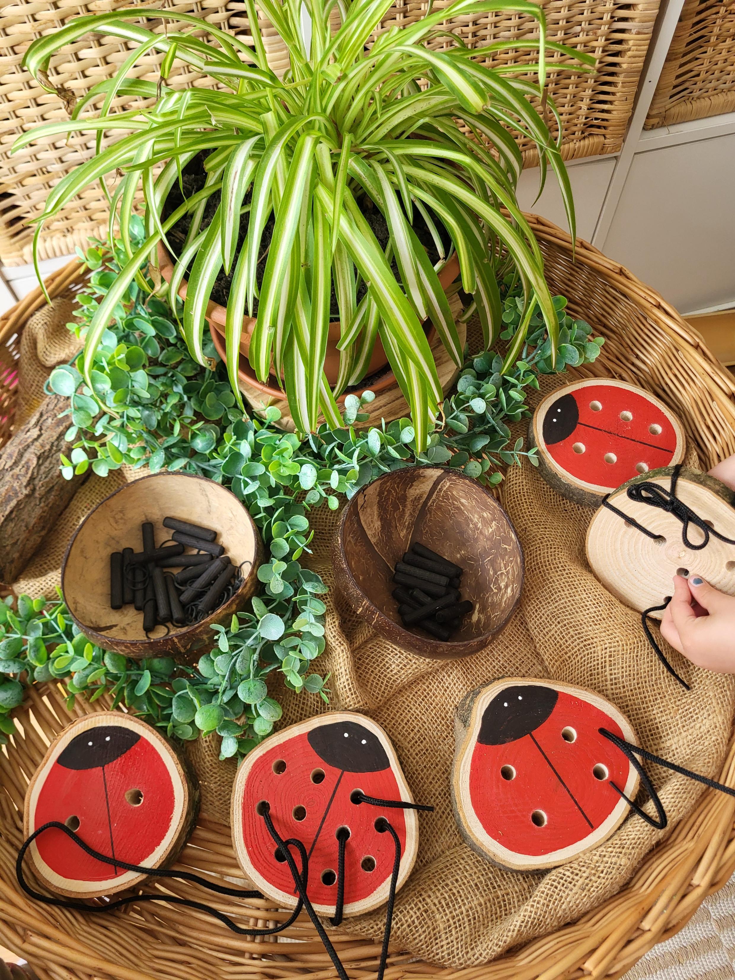 Ladybird Doubles Threading & Fine Motor Set - Set of 5