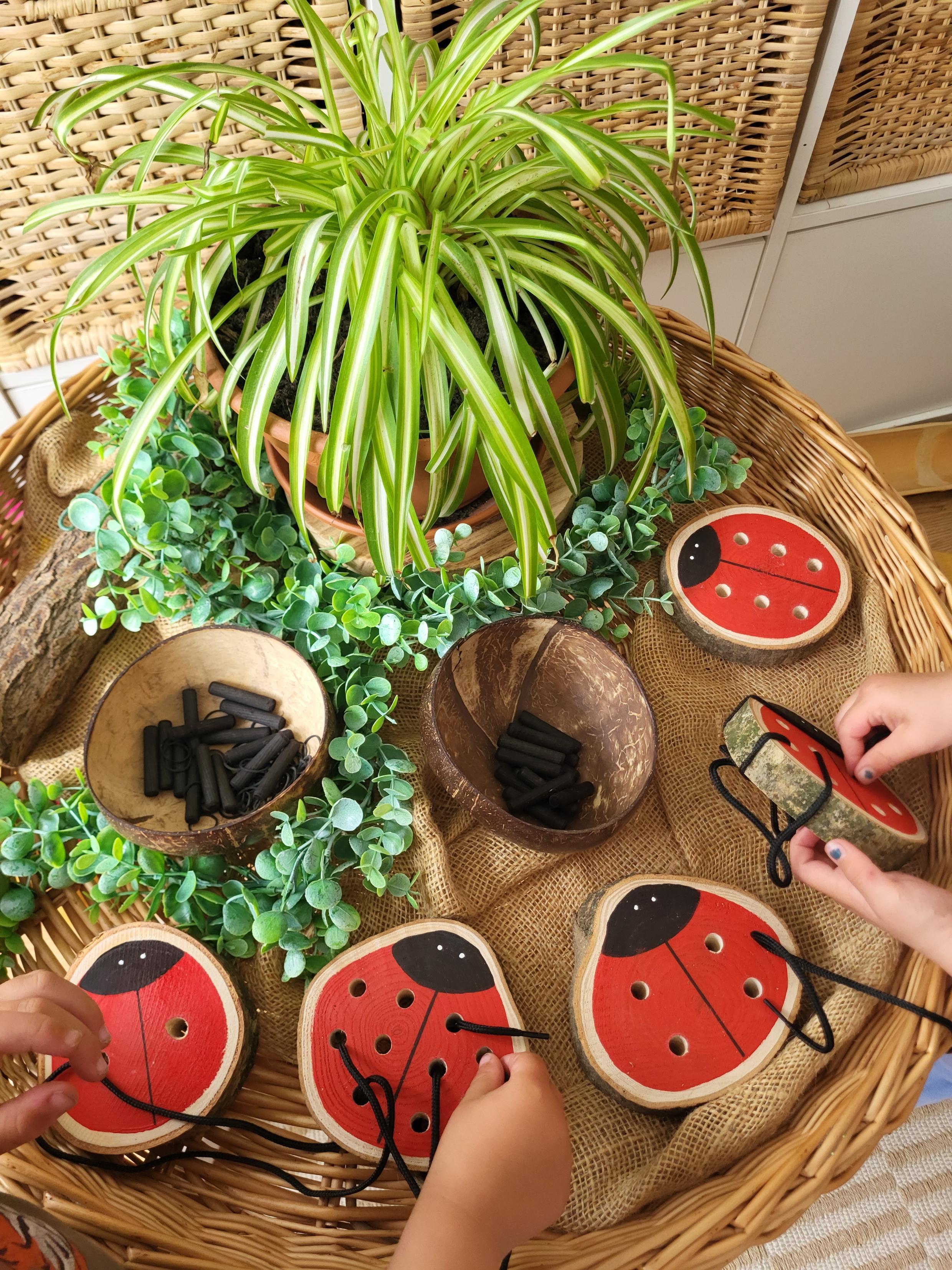 Ladybird Doubles Threading & Fine Motor Set - Set of 5