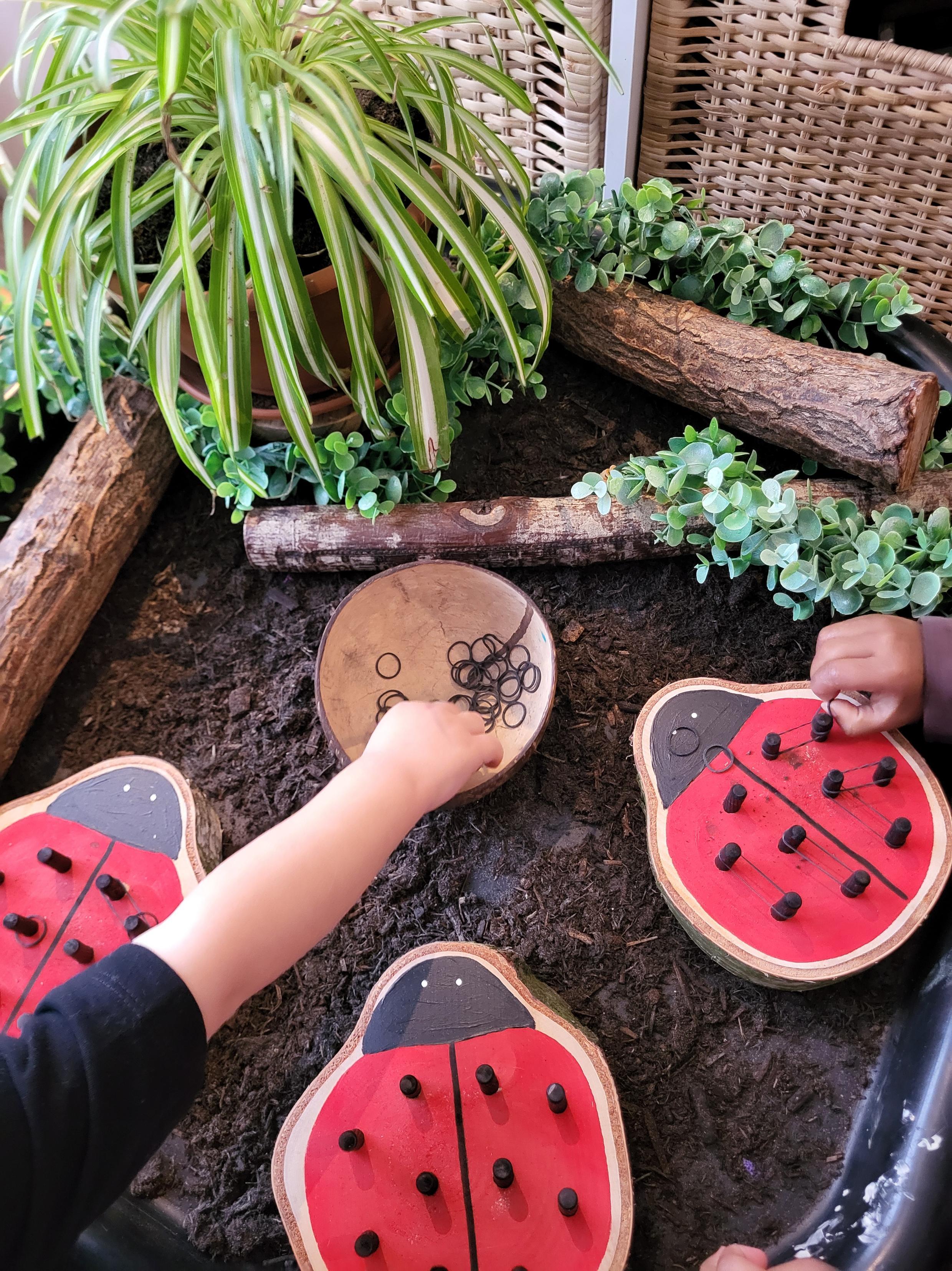 Ladybird Peg Boards - Set of 3