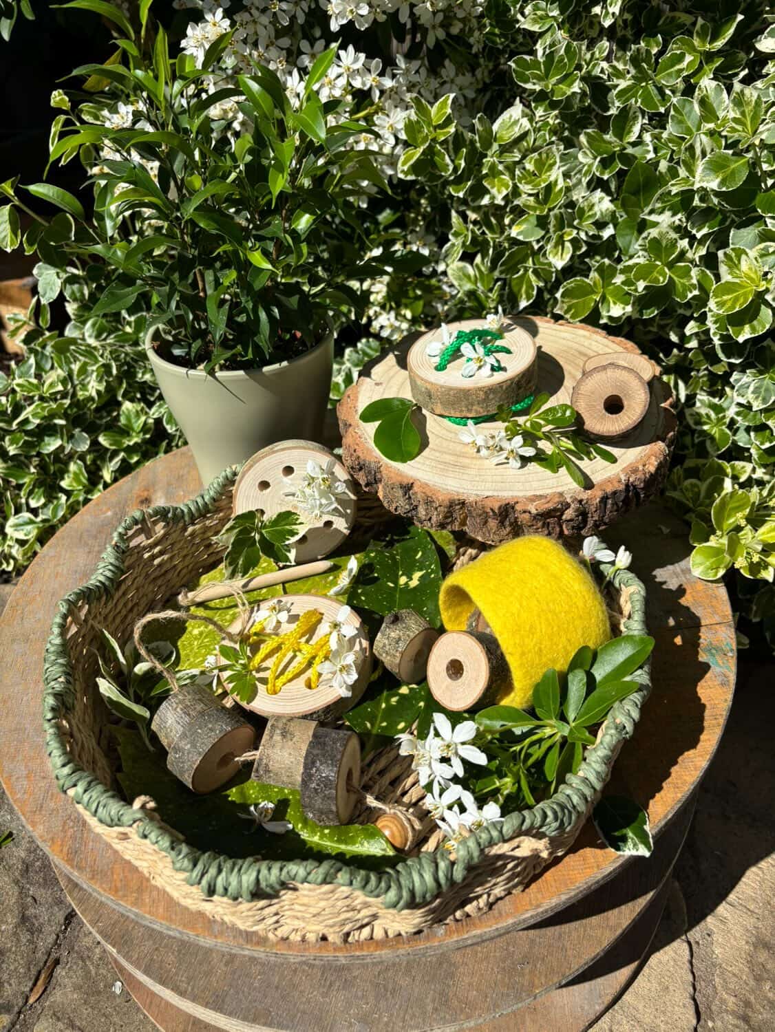 Natural Log Slice Threading Set 1