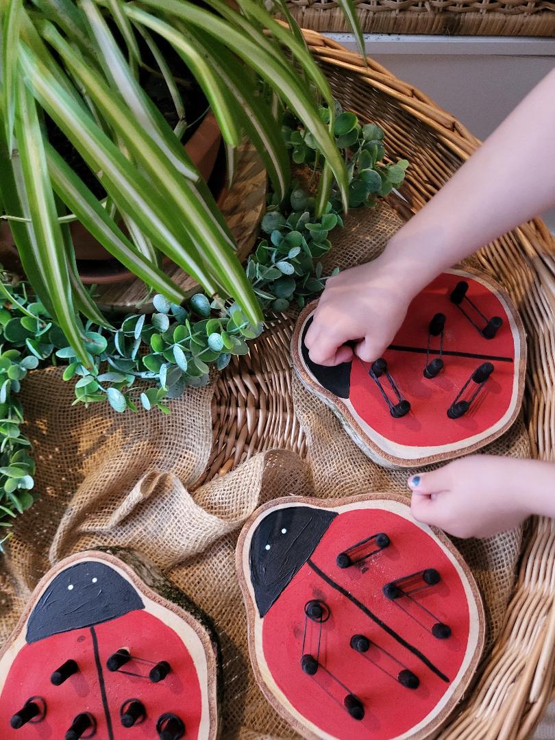 Ladybird Peg Boards - Set of 3
