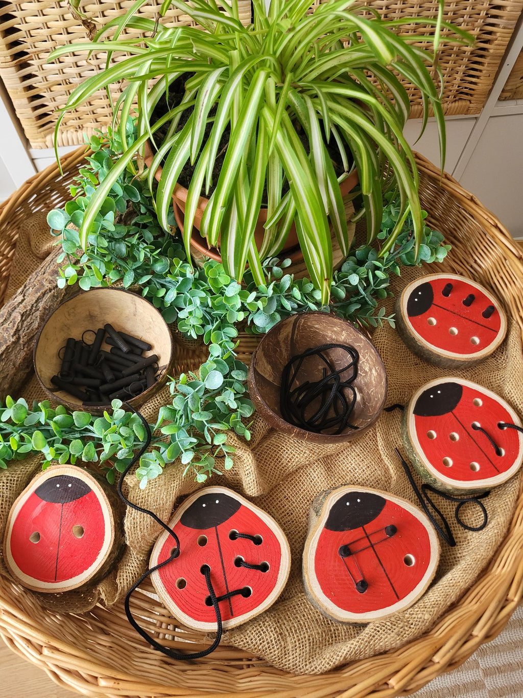 Ladybird Doubles Threading & Fine Motor Set - Set of 5