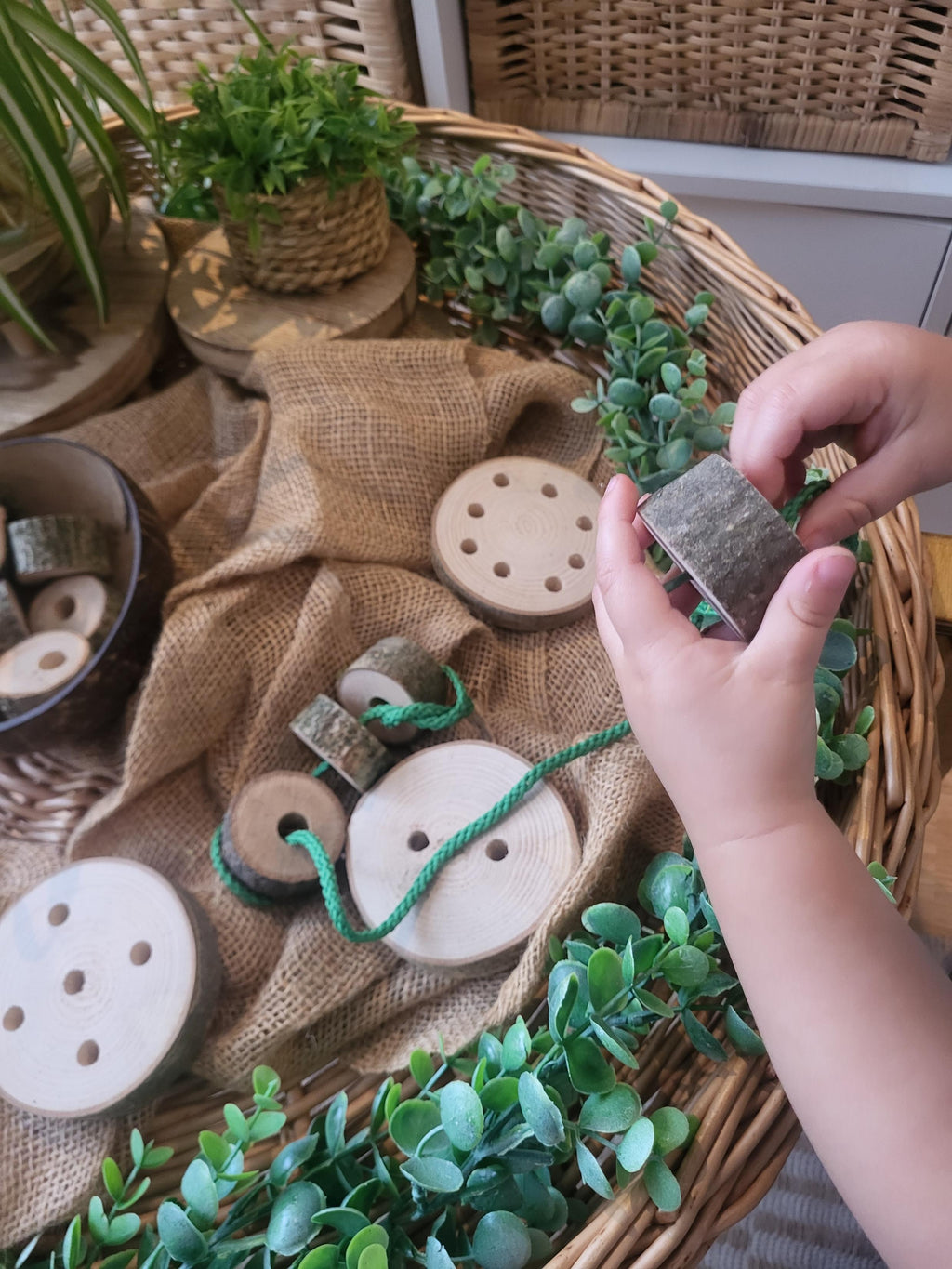 Natural Log Slice Threading Set 2