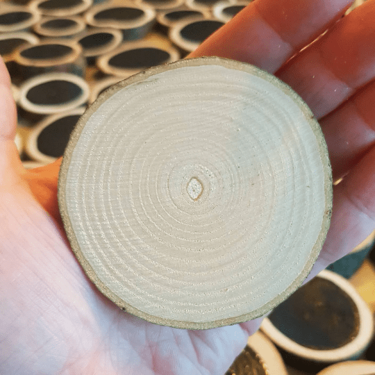 Natural Log Slices – Various Sizes
